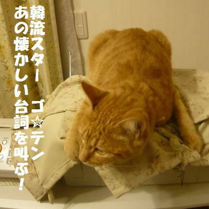 Ac8ebff3 b676 4936 b30f 279623b3d811