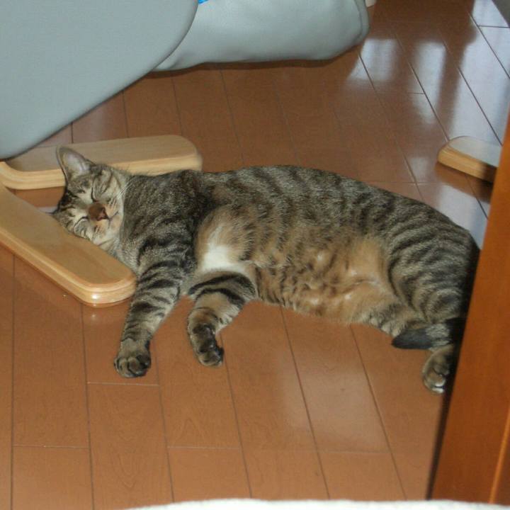 Ac8ec16f dc5b 496d a33d 945c8176fd7e