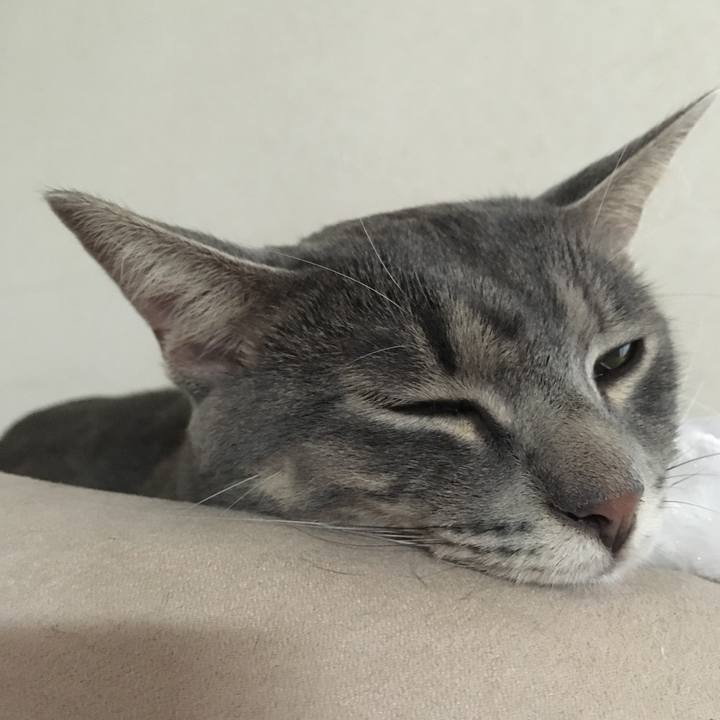 Ac8ed5e7 f618 44e5 b37e 8b04f6377471