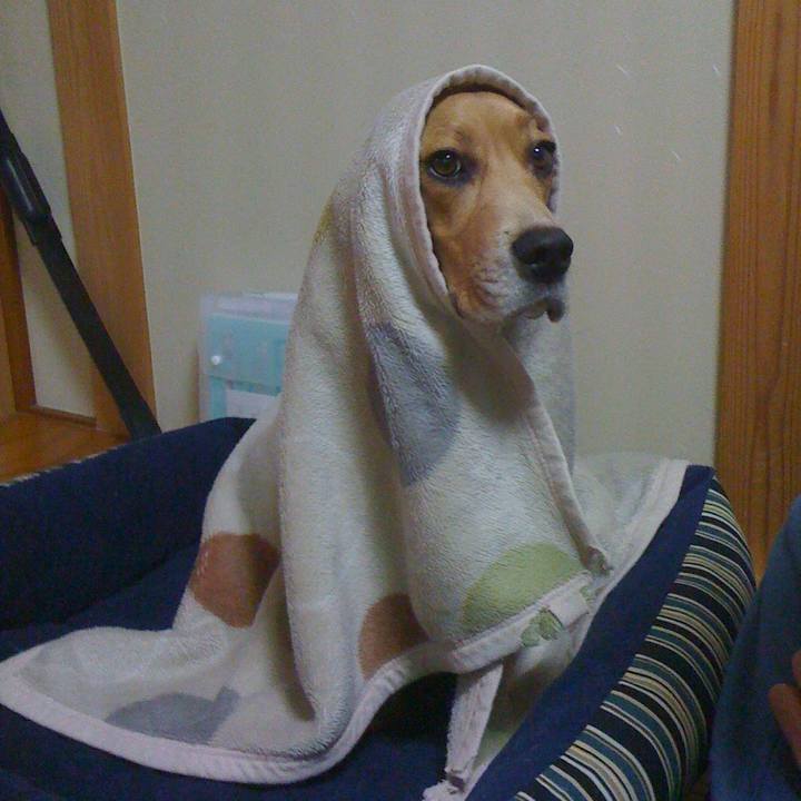 Ac8f38e5 5d62 411e 8f09 e92635142015