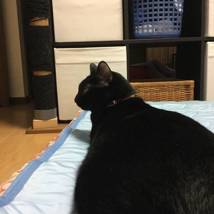 Ac90a30c 6bc2 45c2 85f0 1564407bd4a3