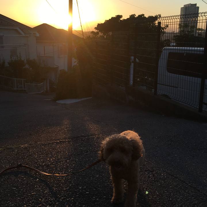 Ac90ecab 402f 42b1 9121 37b34f85524f