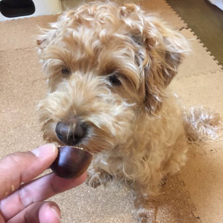 Ac90f4e8 f046 44a4 b840 0c082aab4d95