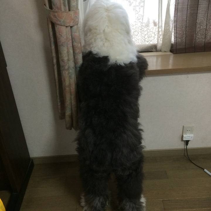 Ac9151c4 6d54 4e84 9ef5 9867cc93ff5c