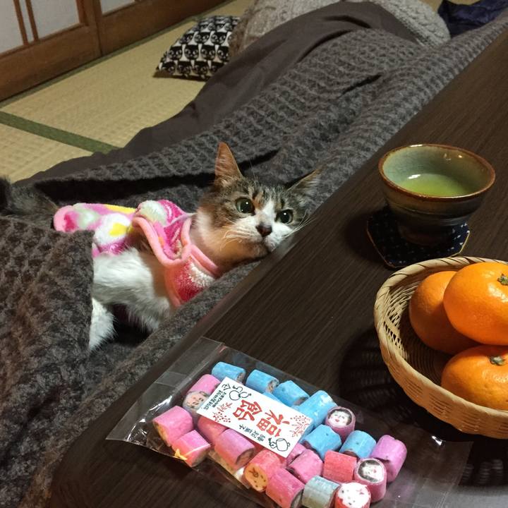 Ac9151d1 c1cf 42a9 baed 8b304d28b859