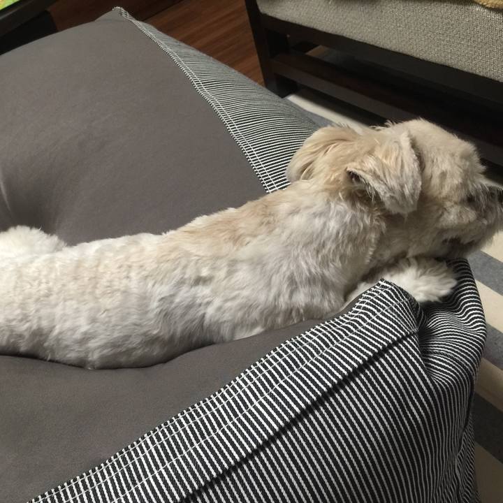 Ac9171df 6d45 4c00 b7be cd3cbaac1b51