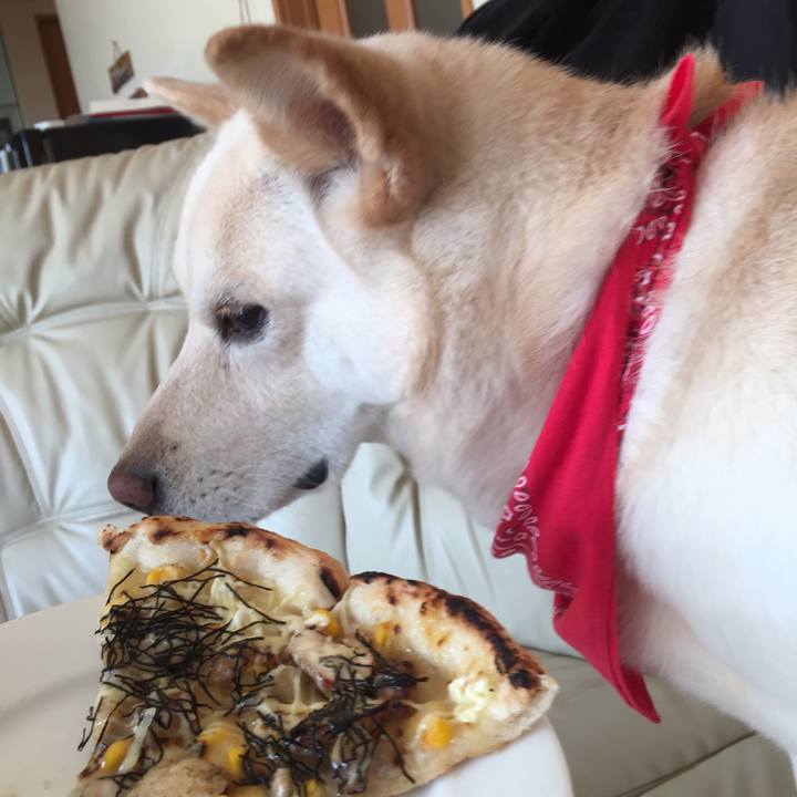 Ac91b58f e1ea 47f5 b330 6227a2d5531c