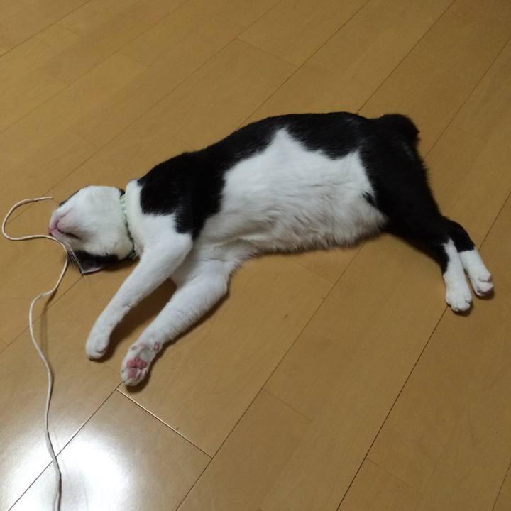 Ac91cd18 aff2 444d 88a1 687aa642a54c