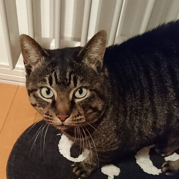 Ac922297 4d44 4bf5 800c 7ad531c226f5