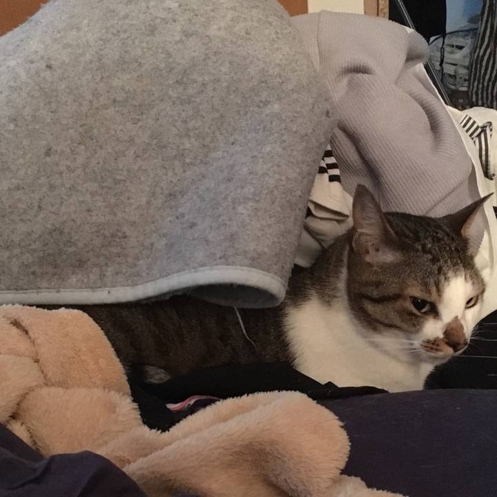 Ac92a069 31ae 4c16 88ec fd016f7e7fec