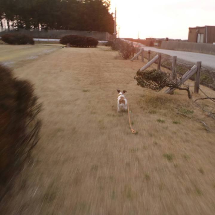 Ac92f6ec cb21 40df 9935 1c1a0af1d6f7