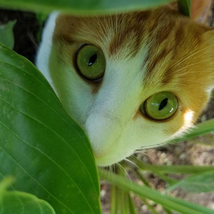 Ac9337bb 1261 45d9 a669 6ecf475445db