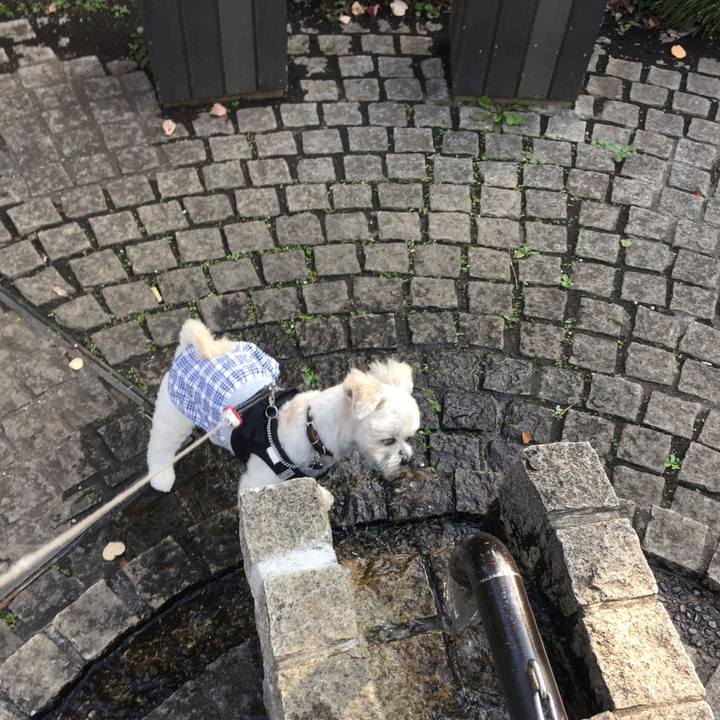 Ac933ce7 ef30 45b7 9fdd ab49322f1d12