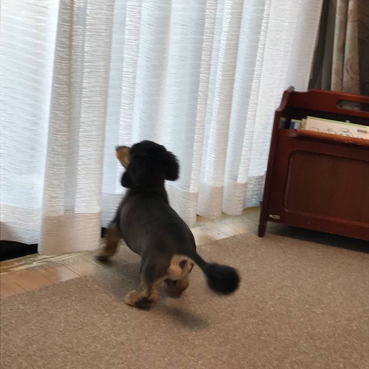 Ac936738 8cee 4571 8ad9 4cd4ae77baab