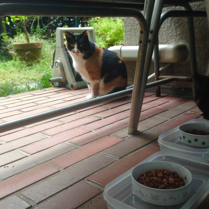 Ac937f6b 4dd4 4670 b06a 254c5727aed2