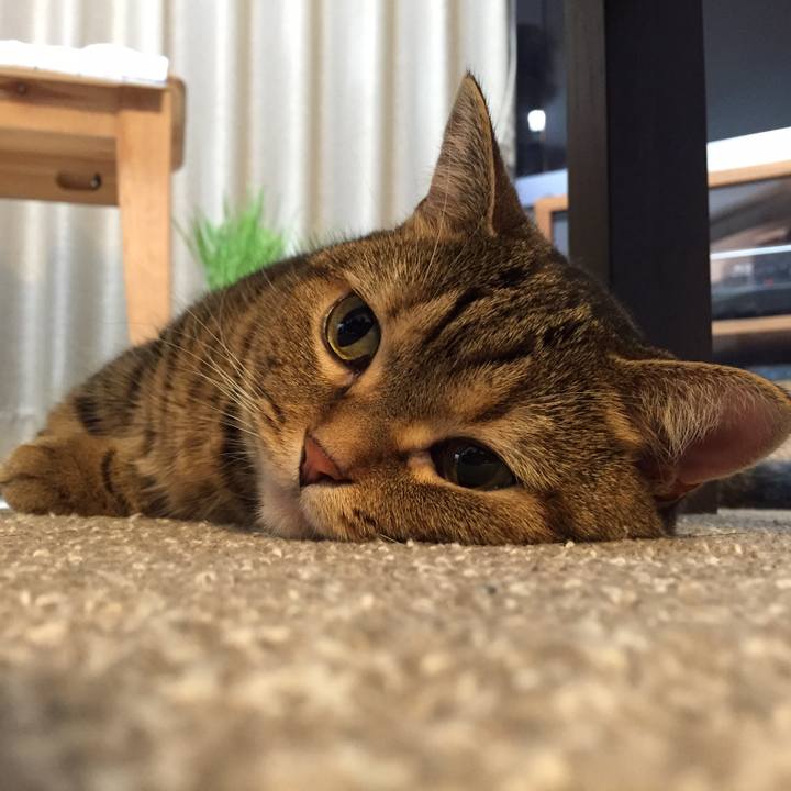 Ac93bf11 ff03 4102 9bcf 3c88b8912c20