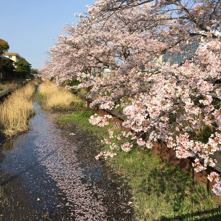 Ac93cceb 8ff7 44b5 9199 97d77ff4f1de