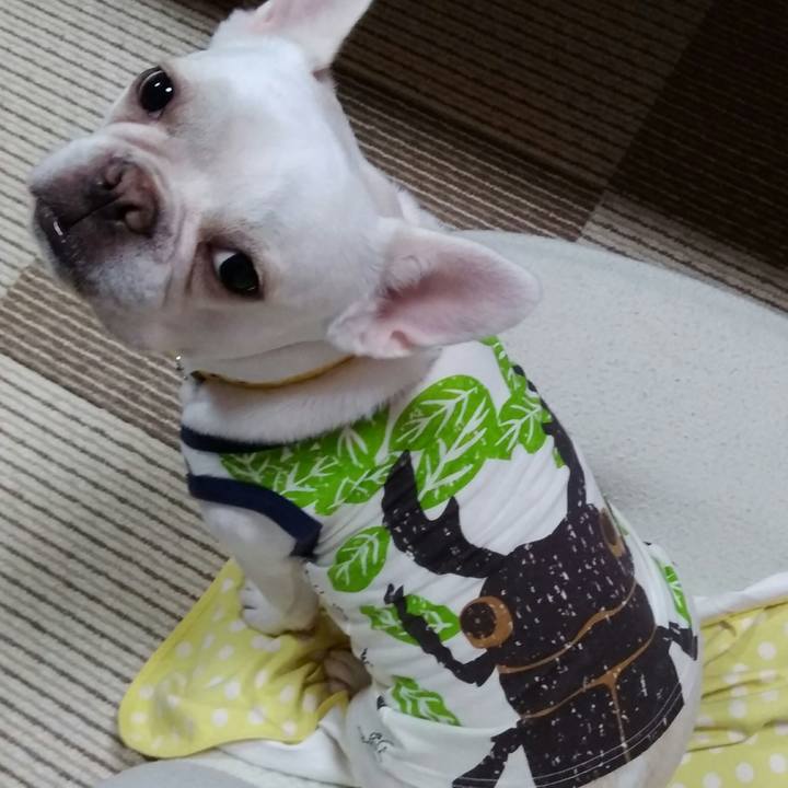 Ac93cda6 1361 41c6 871a 6bc3211c67cf