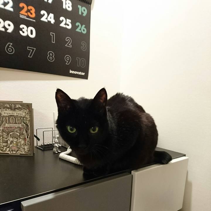 Ac93e533 f76f 4cde 97e4 b2164e93fa9d