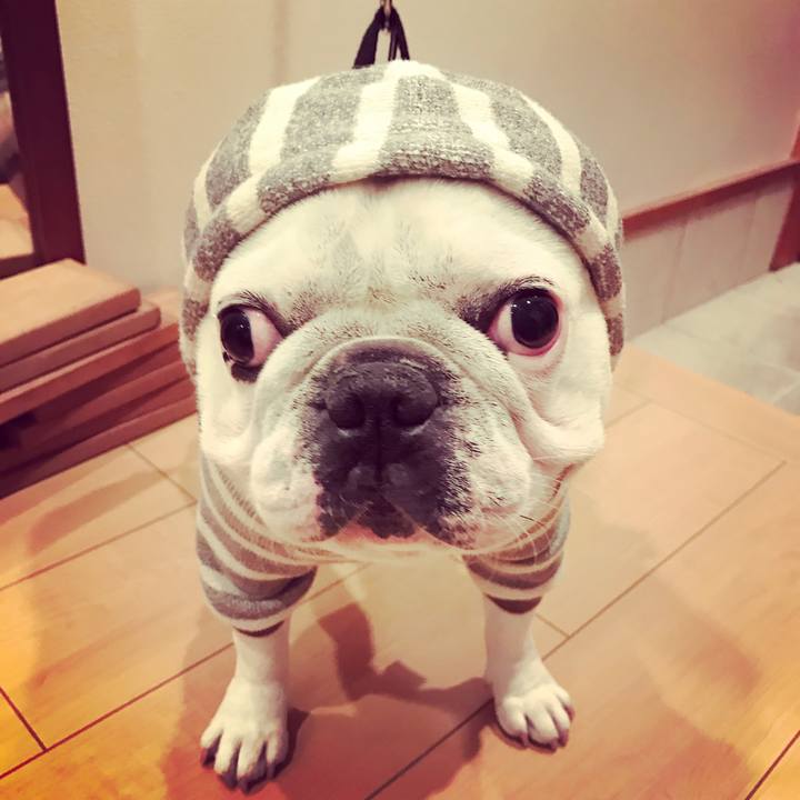 Ac954e3f 6c7d 4336 82fe 6ca09ce46d35