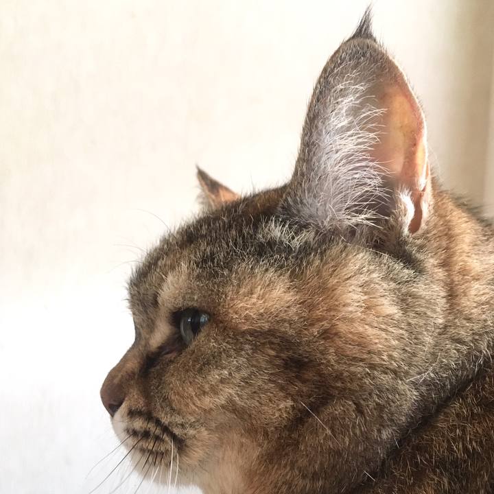 Ac96dbc8 a497 4e42 8ccd aef1a095d6d0