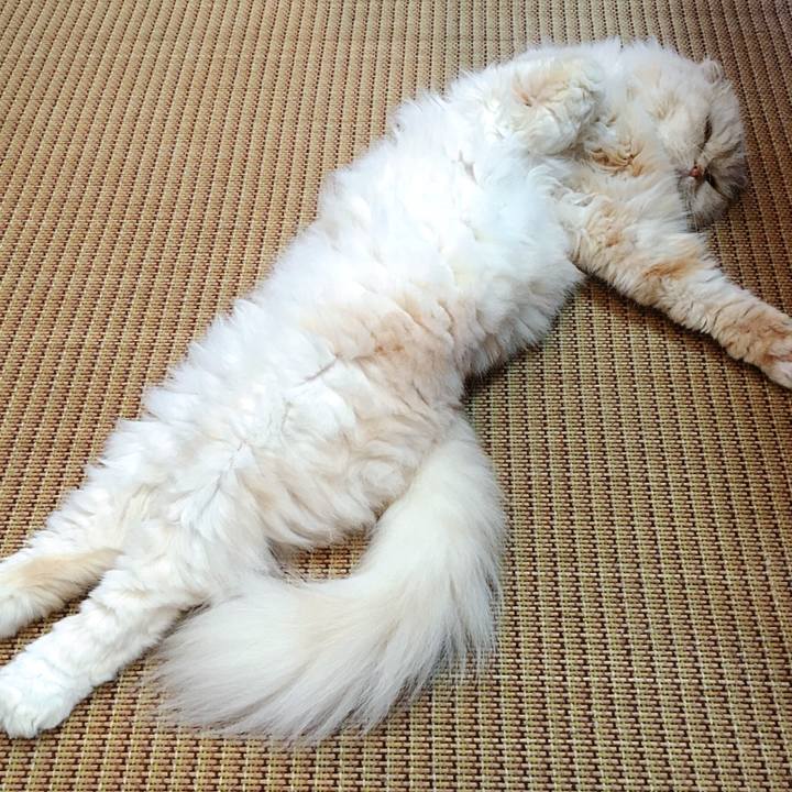 Ac9753a7 408d 4732 840d 3a3b662dceae