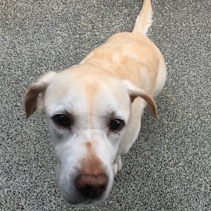 Ac97a569 137a 4d80 bbc1 708a347c41e7