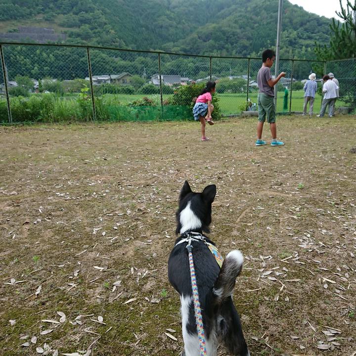 Ac97a668 dad9 42ed 828c 45b16d17f940