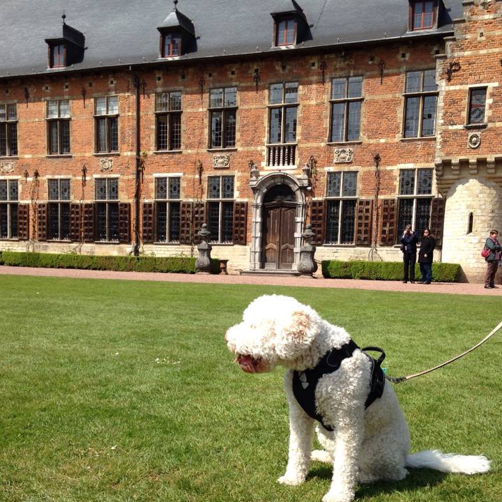 Ac981ebb 0256 42af 82ca 5150371b7d22