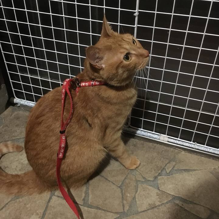 Ac986714 b103 418f 9b6b 6ea7caf2e5ef