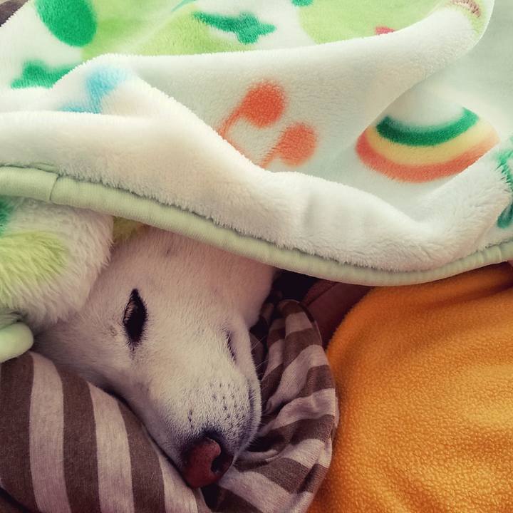 Ac987842 fd8b 46e0 ab25 686b336aceb7