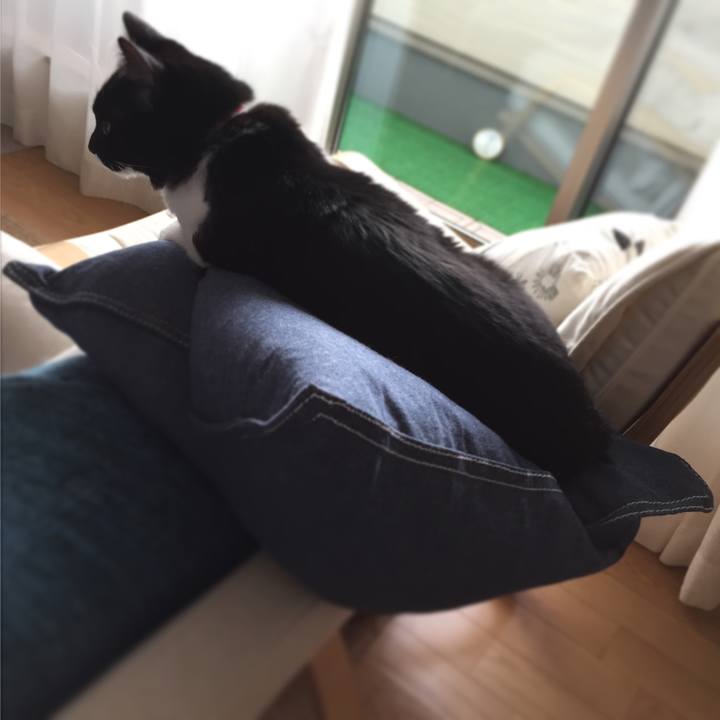 Ac995a69 489c 4205 a0e2 6e2cbba0fb59