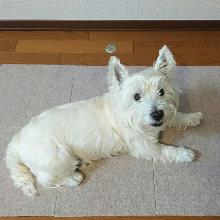 Ac99b24d 624b 46b8 9c08 72da9508b48b