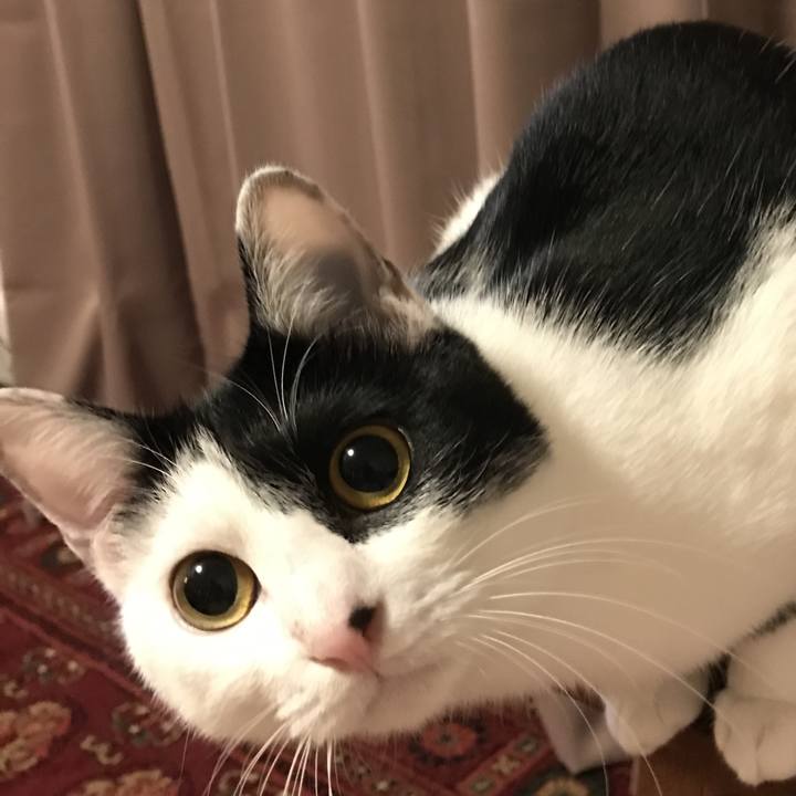 Ac99ddba 1621 49b9 a27f a503e75696da