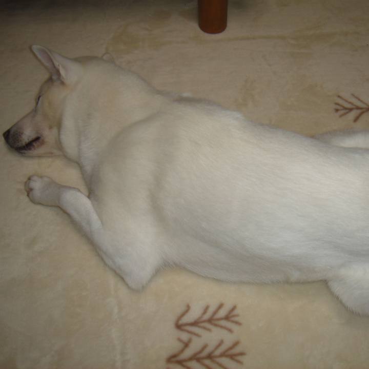 Ac9a06f2 e3fd 4a3a 8254 8add16894cc0