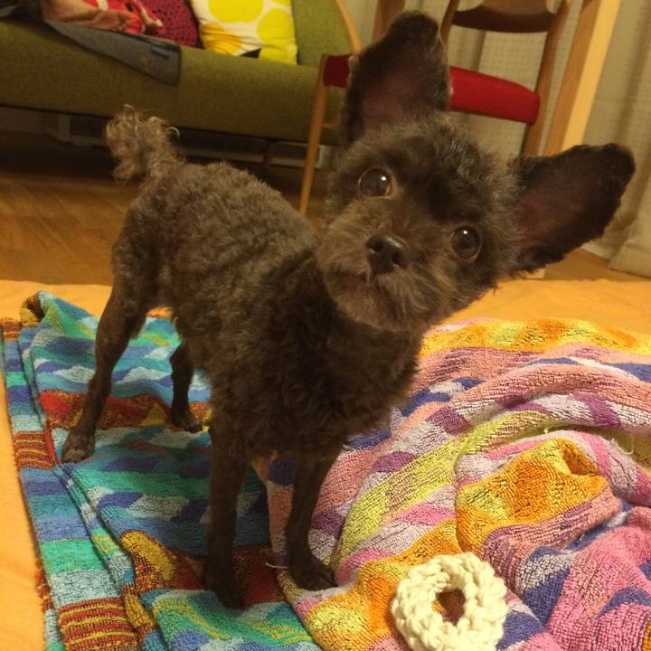 Ac9a21e3 7828 41c3 9b25 a5963788fbc6