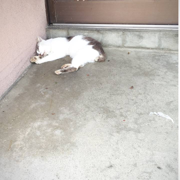 Ac9ac9ec 7d2e 49bd a0d9 5e988bb3a3b0