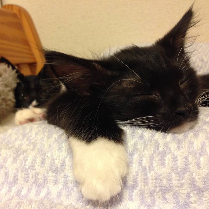 Ac9acc7f f72c 49cd 88a4 c3c9e0bdeed6