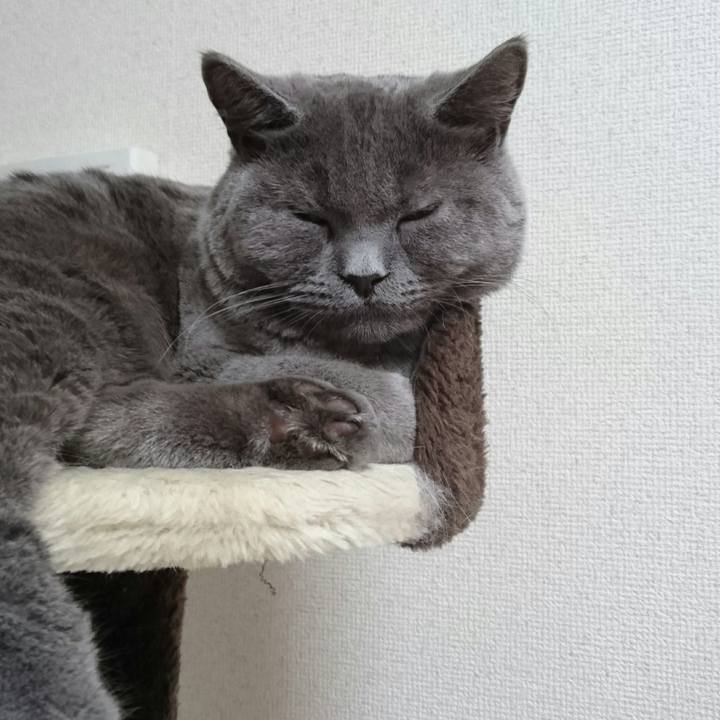 Ac9af934 a1f5 469d b778 ade572a66c06