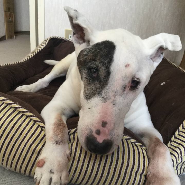 Ac9b717e bdaf 408c b5de 7b5b4f1dd95b