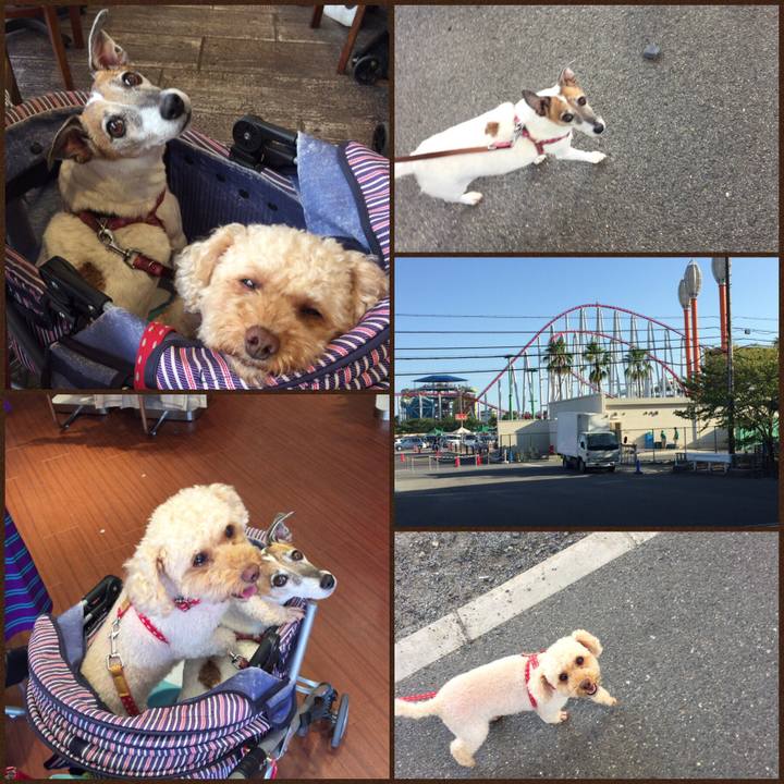 Ac9b8e9b 4519 4c65 9709 c7e67c1aa9ca