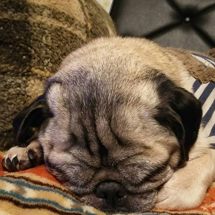 Ac9ce7f5 6f35 4489 8d16 b512f50a3d8e