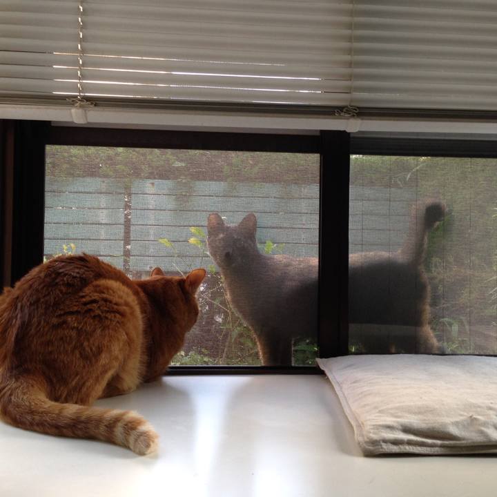 Ac9cfbfc d418 4d7b ad1a 474021a86a94