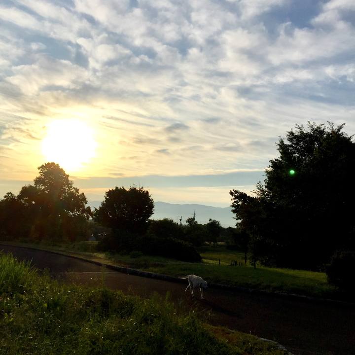 Ac9da0b0 11d4 4374 950f e6bac7010282