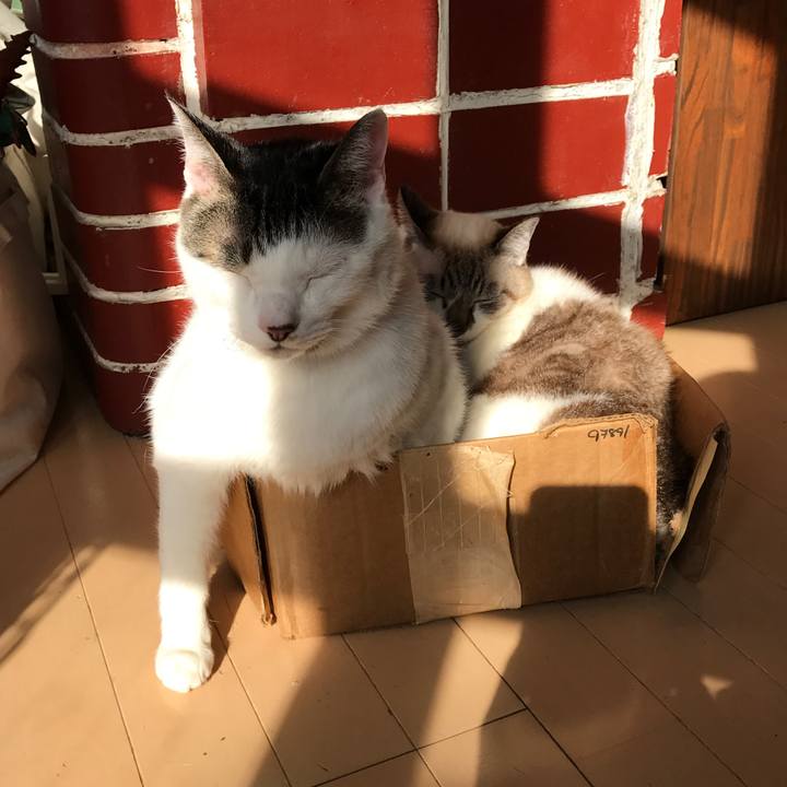 Ac9da629 f12a 49a8 af55 8ff319665178