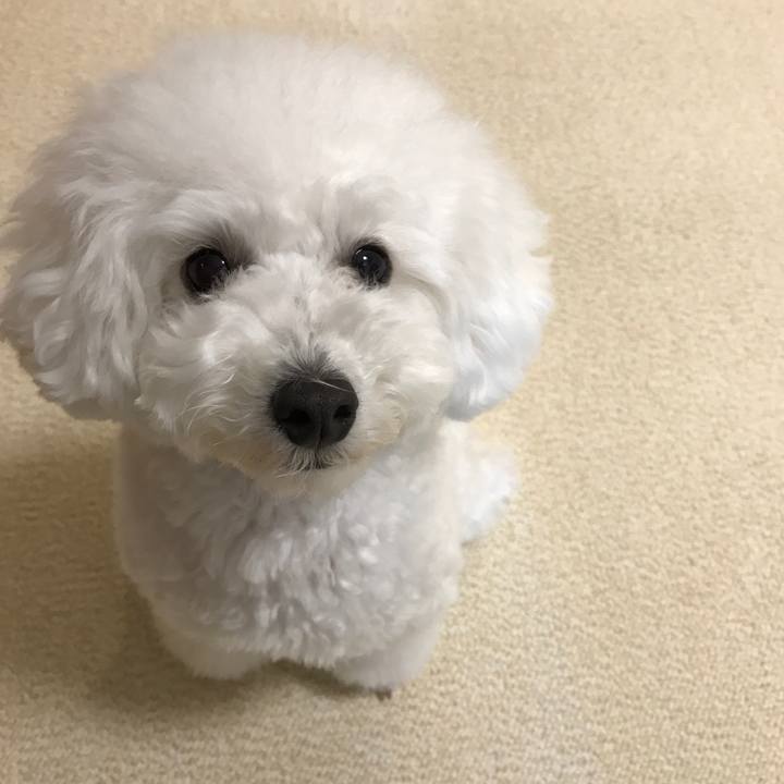 Ac9dacba bc8e 4215 874a 3833a4766f85