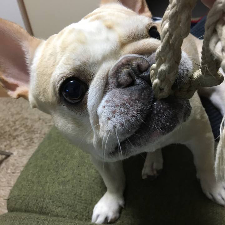 Ac9e077c e618 4f97 a0d4 10d3bee6b2be