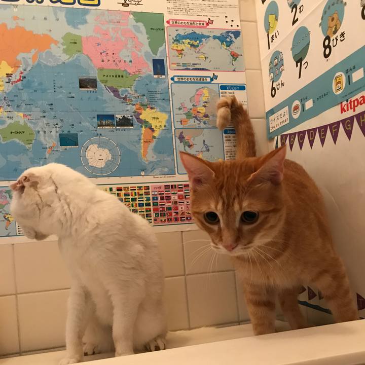 Ac9e37b4 652b 48f6 a78d 9ae67ad2ccc0