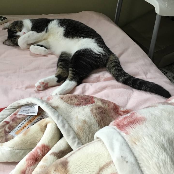 Ac9e8456 f845 482a 8caa f94ed1049486