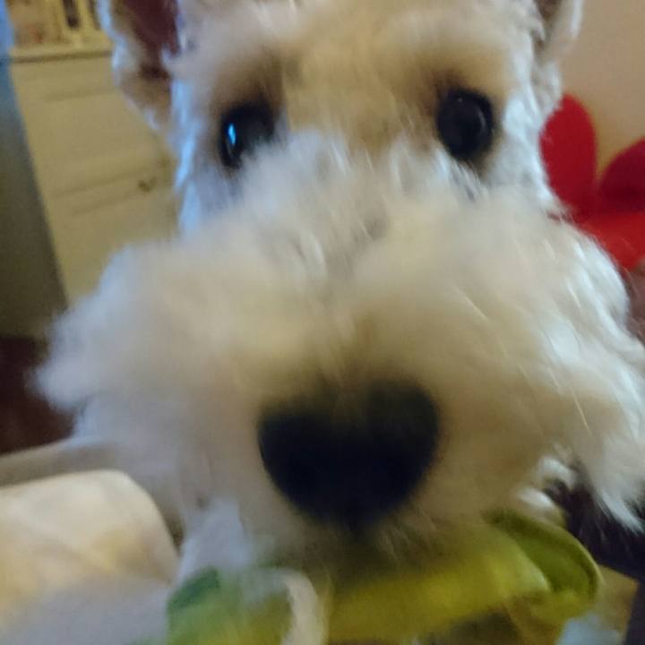 Ac9effe4 aae0 4118 a8ea 5f9c49cc5a82